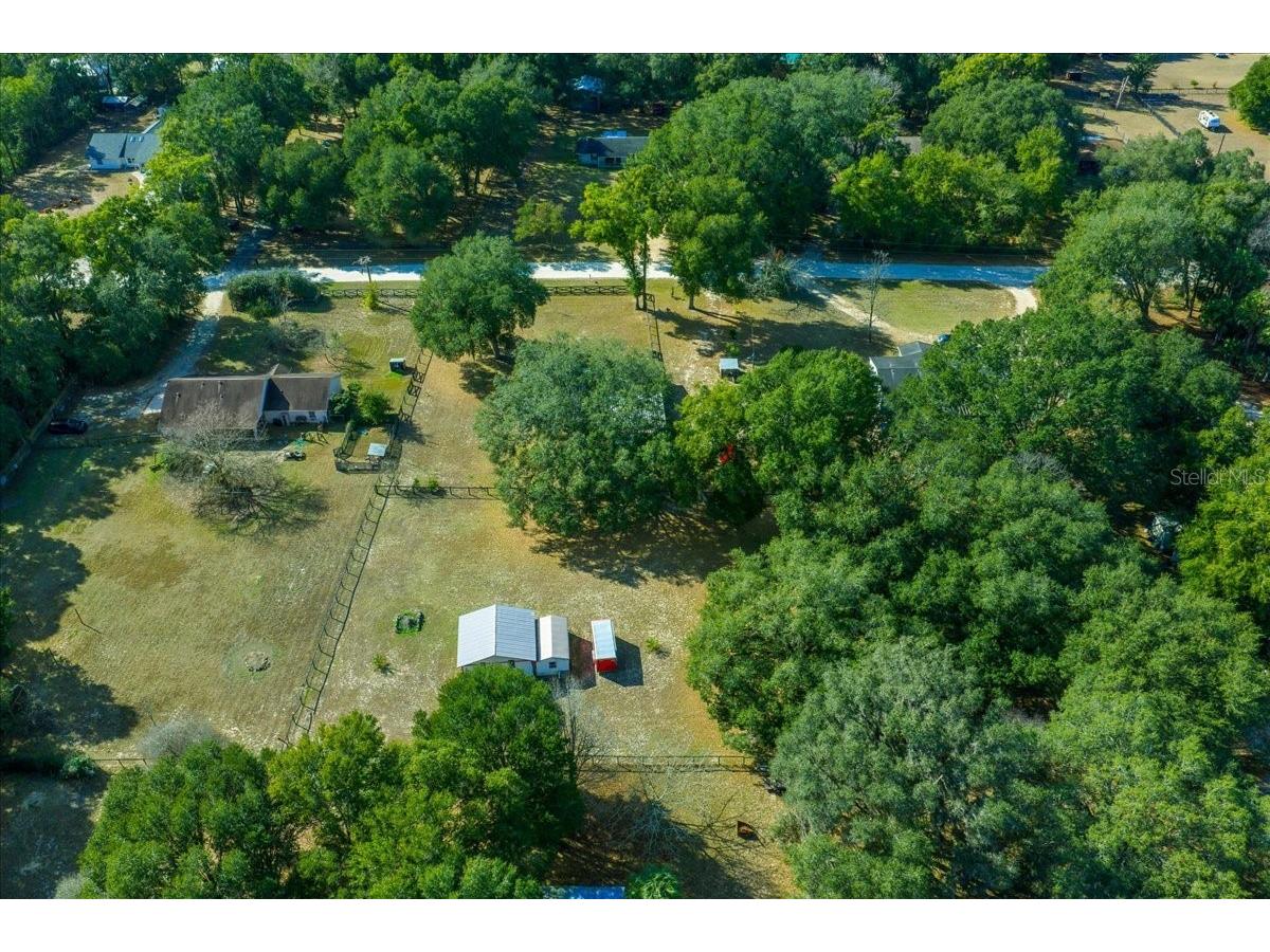 13181 NE 39th Terrace Anthony FL 32617 OM717418 image11