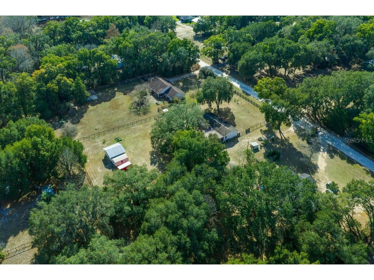 13181 NE 39th Terrace Anthony FL 32617 OM717418 image12