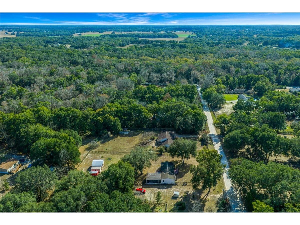 13181 NE 39th Terrace Anthony FL 32617 OM717418 image13