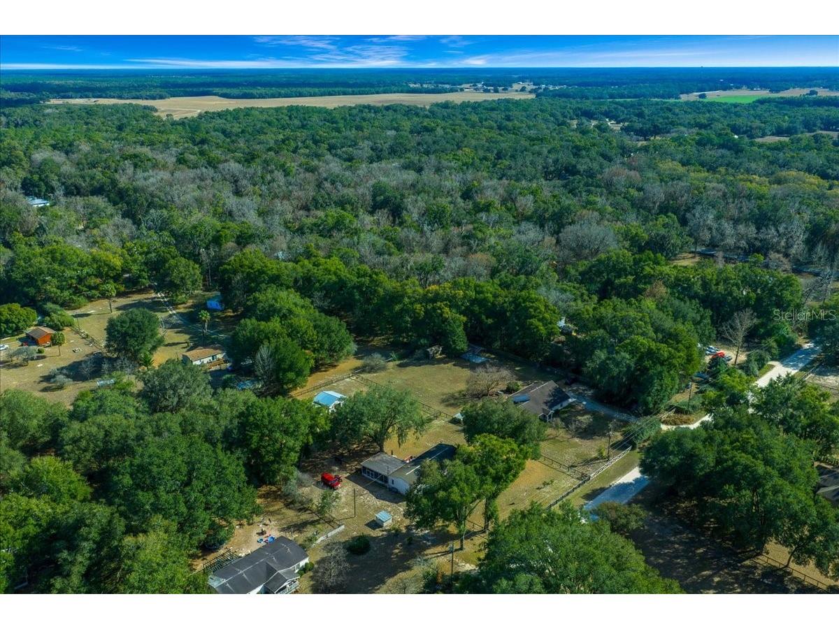 13181 NE 39th Terrace Anthony FL 32617 OM717418 image14