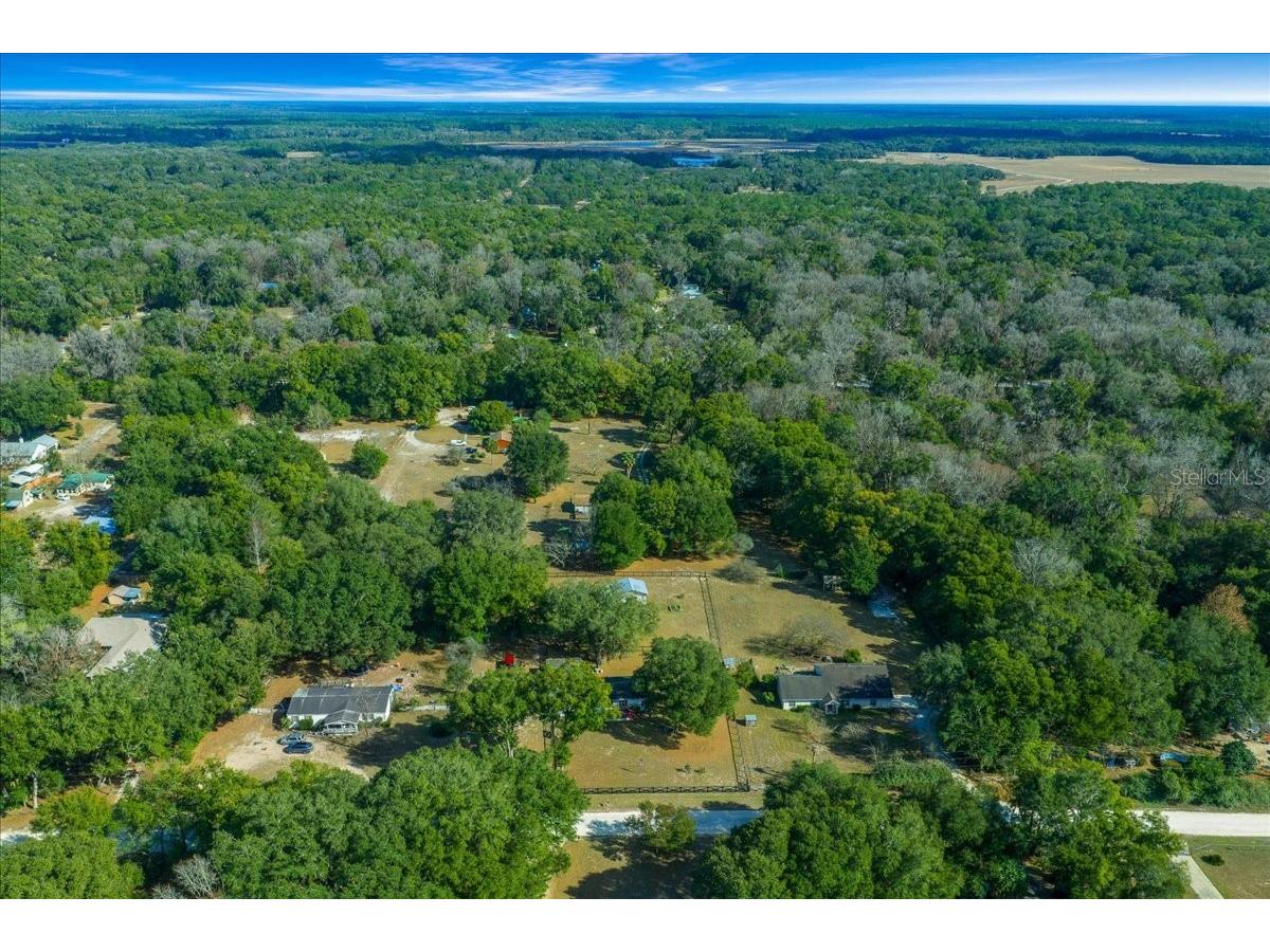 13181 NE 39th Terrace Anthony FL 32617 OM717418 image15