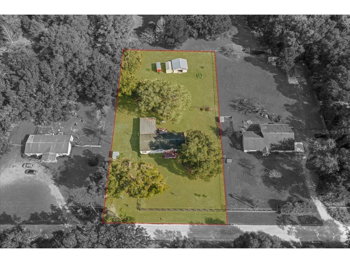 13181 NE 39th Terrace Anthony FL 32617 OM717418 image16