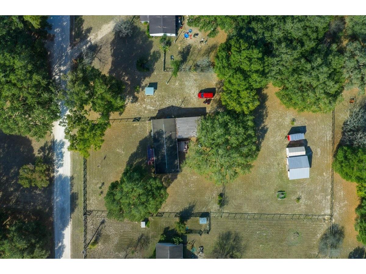 13181 NE 39th Terrace Anthony FL 32617 OM717418 image20