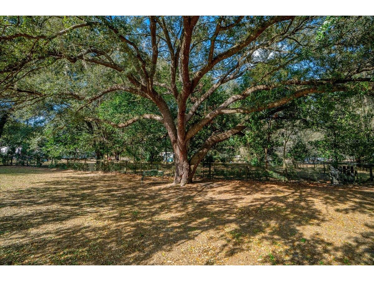 13181 NE 39th Terrace Anthony FL 32617 OM717418 image34