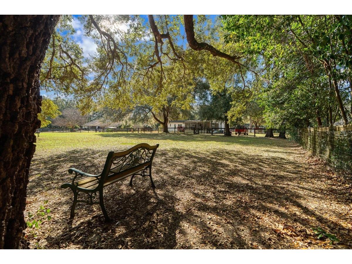13181 NE 39th Terrace Anthony FL 32617 OM717418 image36