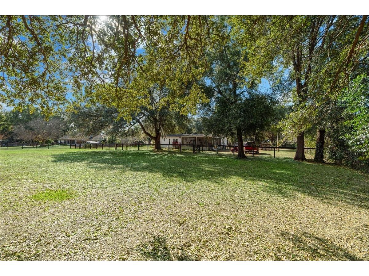 13181 NE 39th Terrace Anthony FL 32617 OM717418 image37
