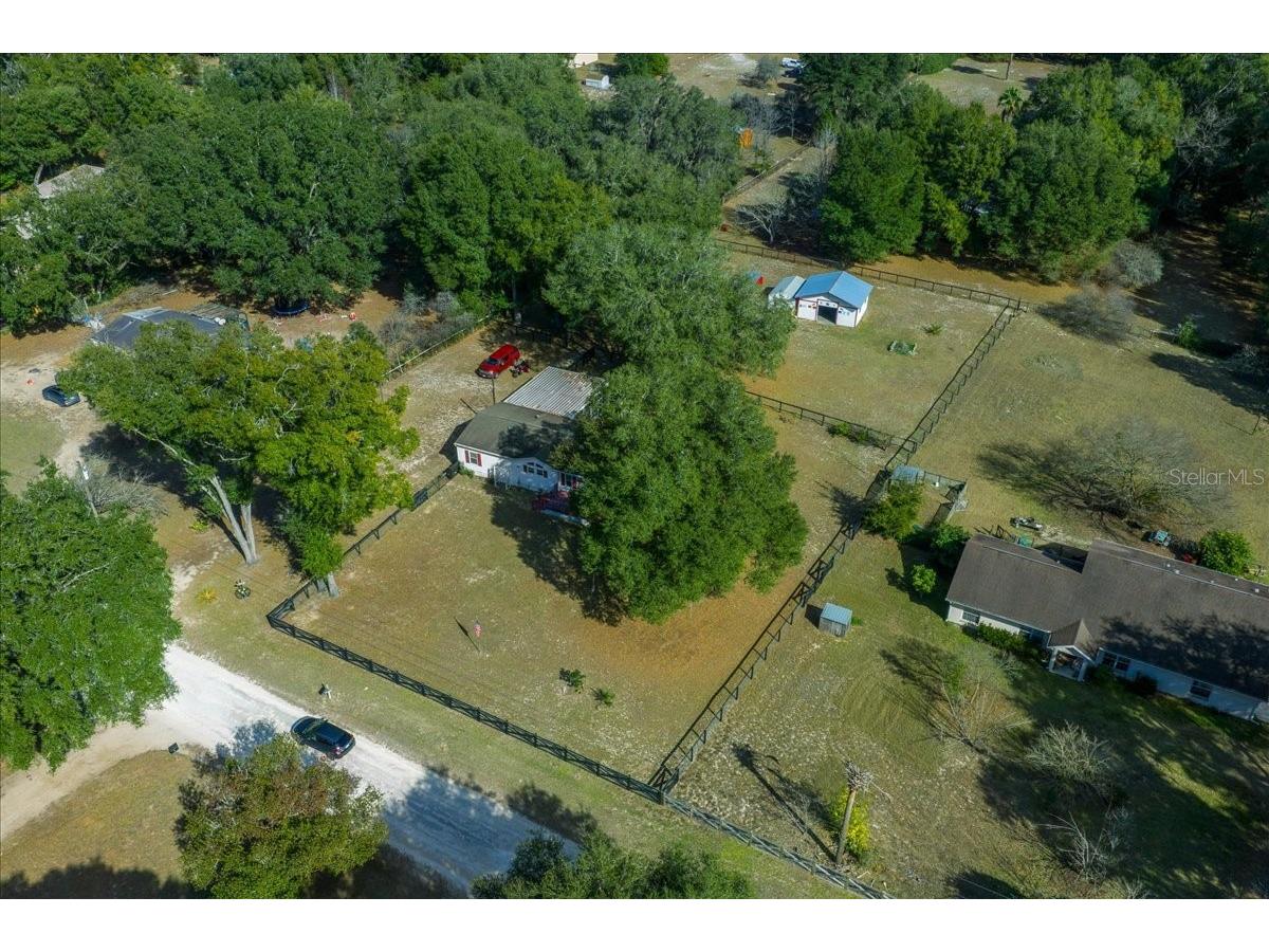 13181 NE 39th Terrace Anthony FL 32617 OM717418 image6