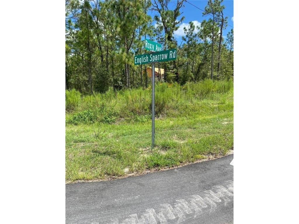 13181 Roxy Avenue Weeki Wachee FL 34614 T3469569 image1