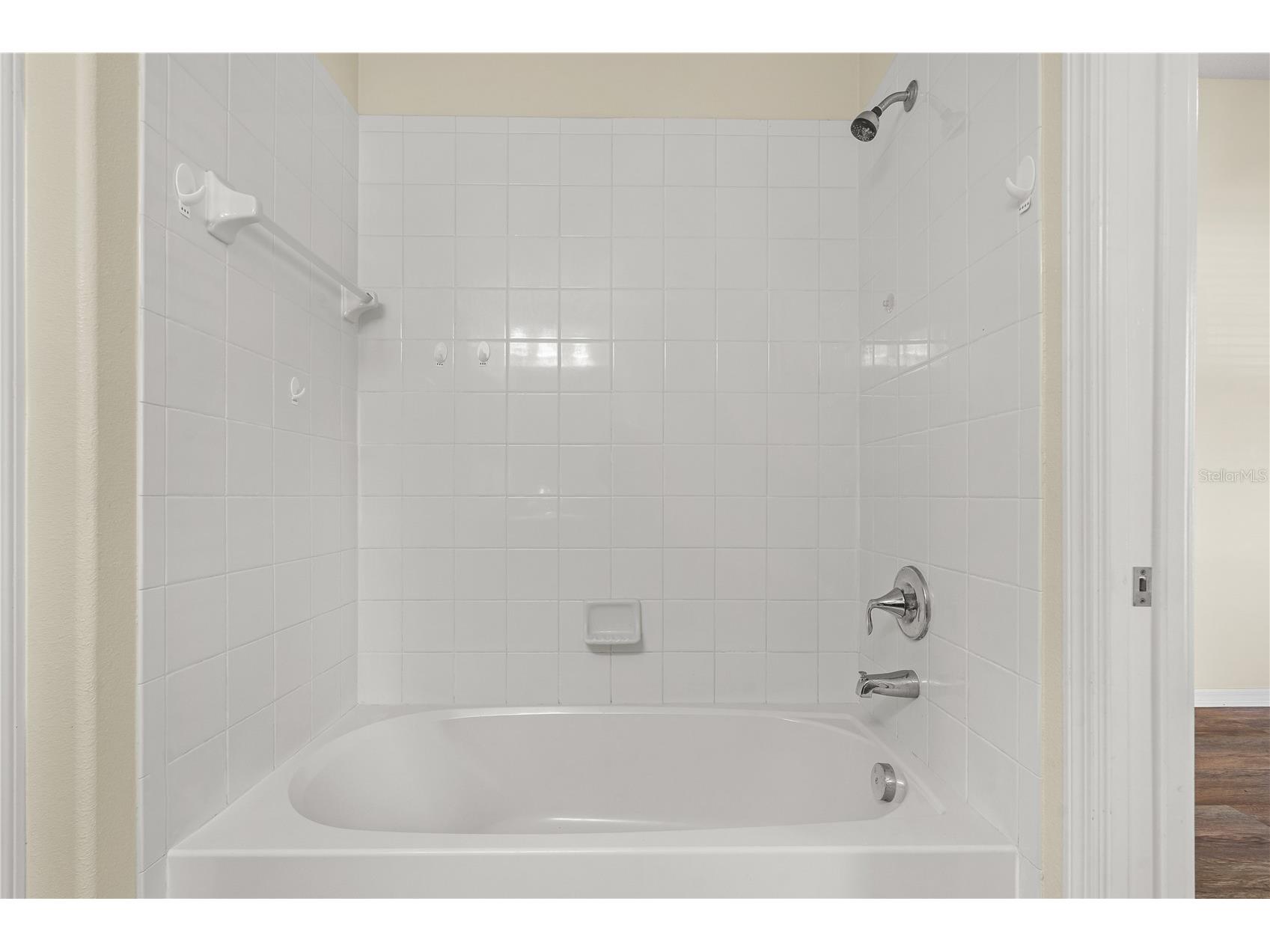 13181 Royal Pines Avenue Riverview FL 33579 TB8506007 image23