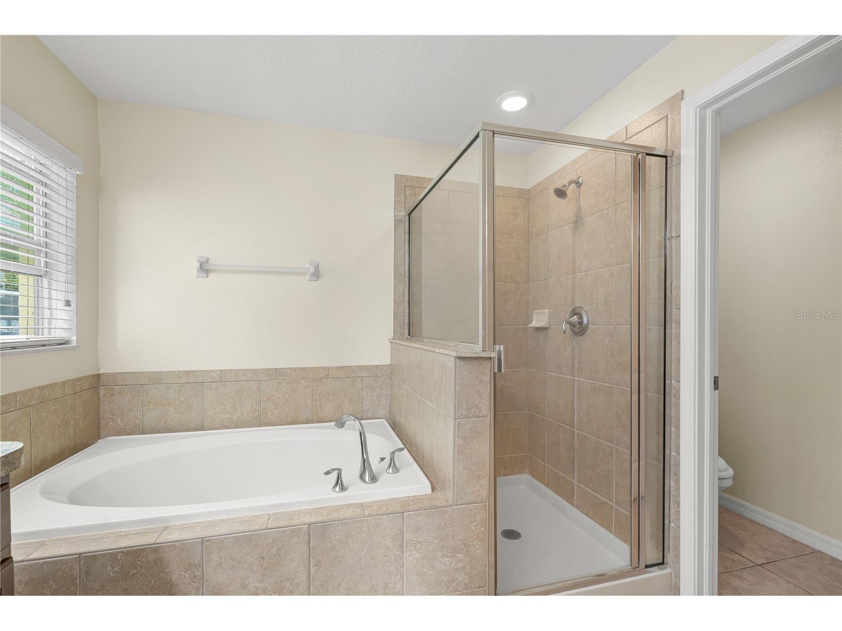 13181 Royal Pines Avenue Riverview FL 33579 TB8506007 image34