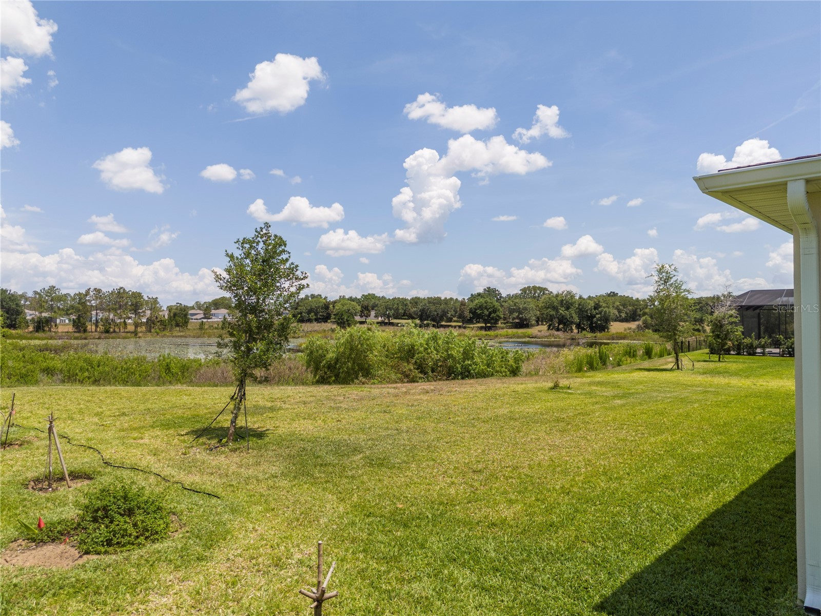 13181 Toolcross Way Winter Garden FL 34787 O6410984 image84