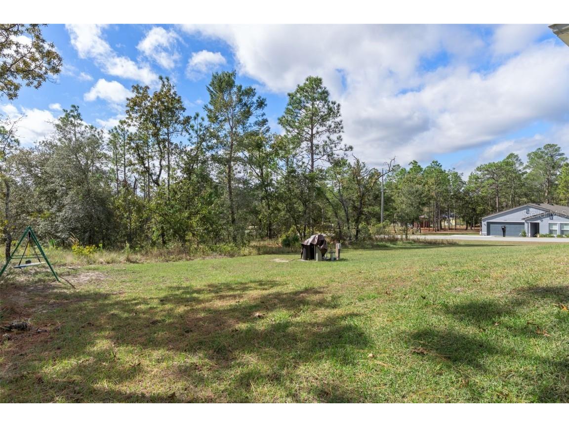 13182 Spruce Grouse Avenue Brooksville FL 34614 W7880218 image35