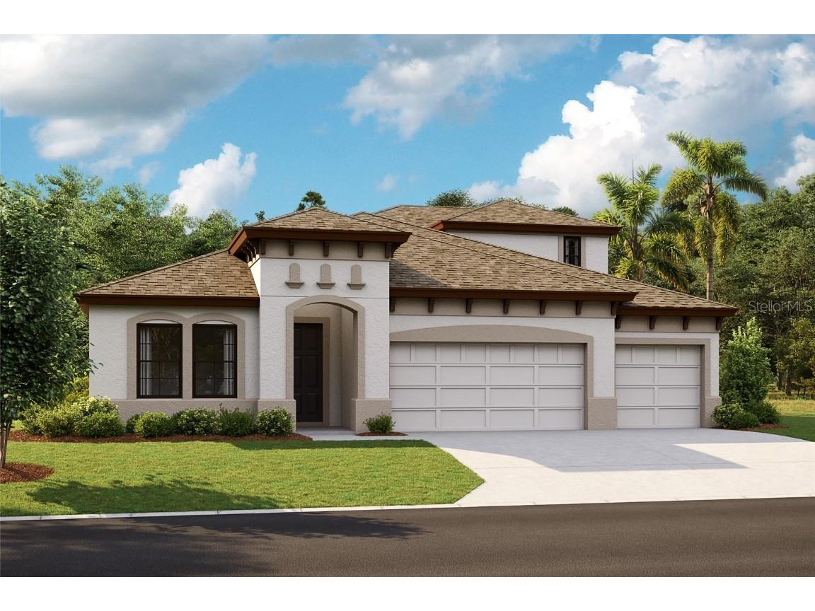 13182 Twin Bridges Drive Riverview FL 33579 T3423787 image1