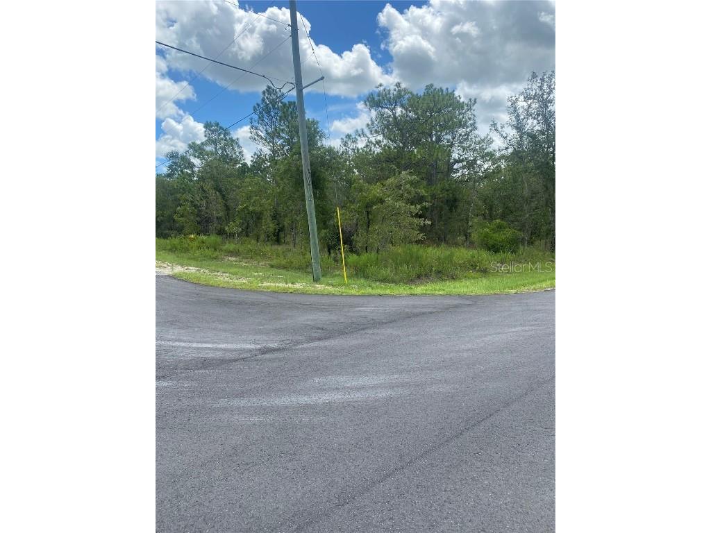 13183 English Fir Court Weeki Wachee FL 34614 T3471866 image1