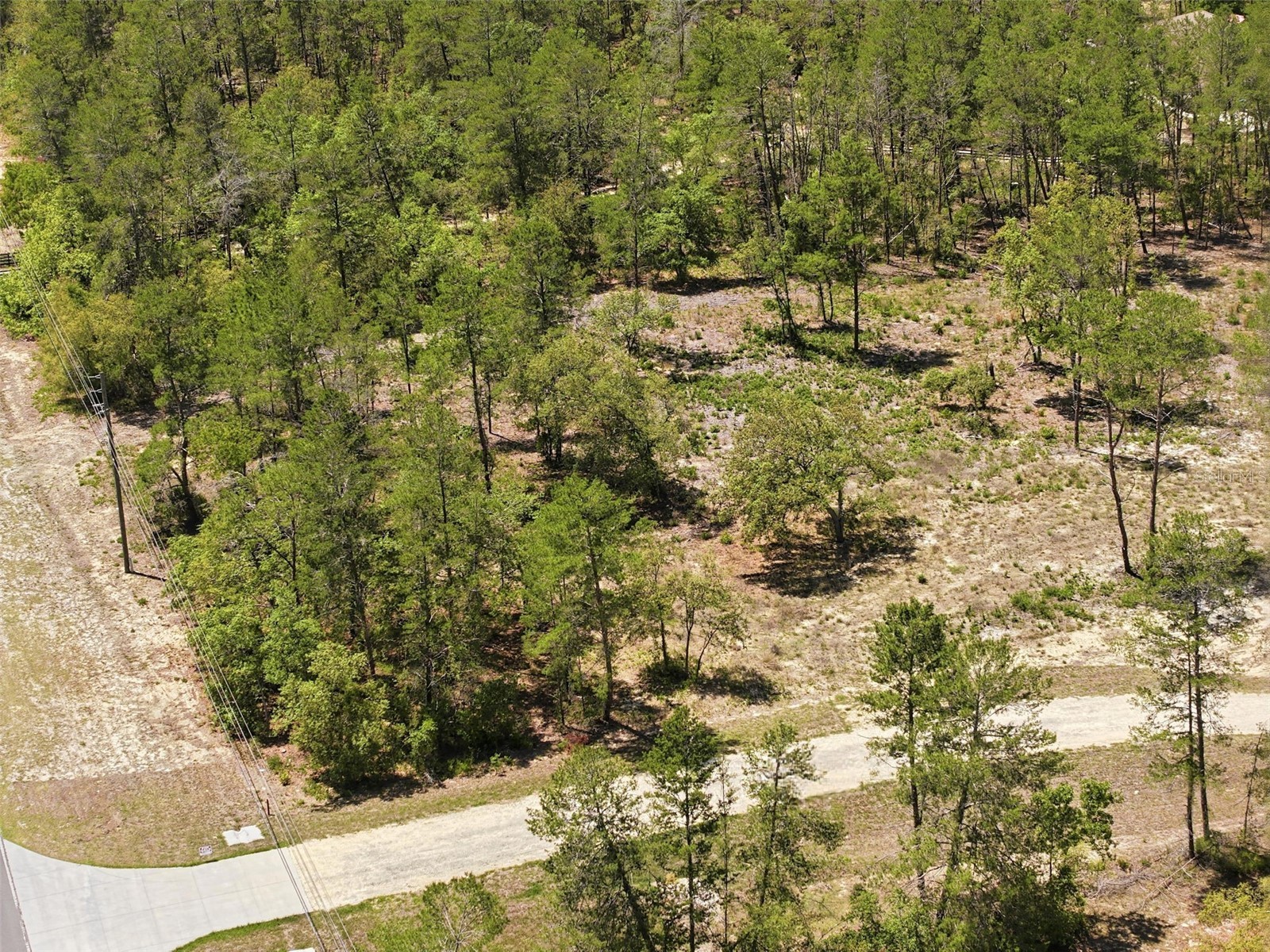 13183 Haven (Lot 1) Trail Weeki Wachee FL 34614 W7884913 image14