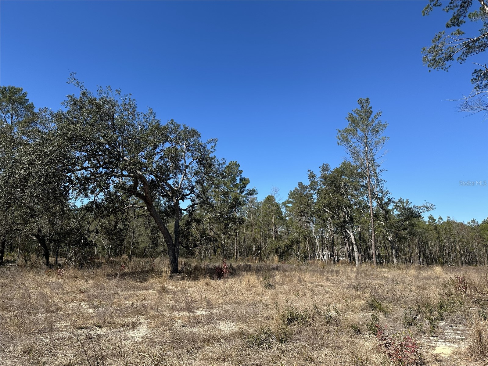 13183 Haven Trail Weeki Wachee FL 34614 TB8474683 image3