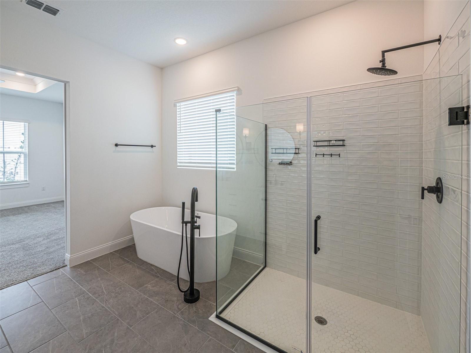 13184 Dendy Way Winter Garden FL 34787 O6384386 image17