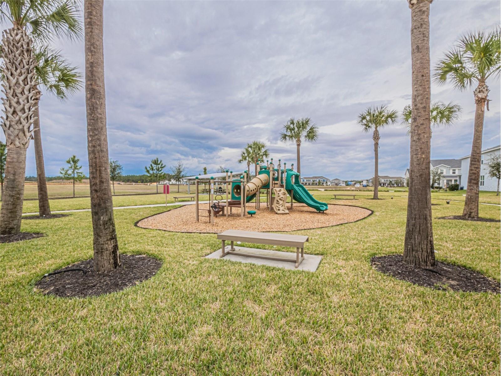 13184 Dendy Way Winter Garden FL 34787 O6384386 image37