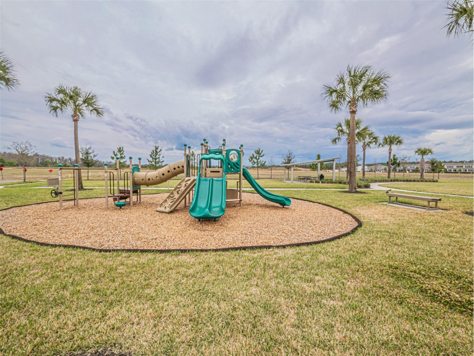 13184 Dendy Way Winter Garden FL 34787 O6384386 image38