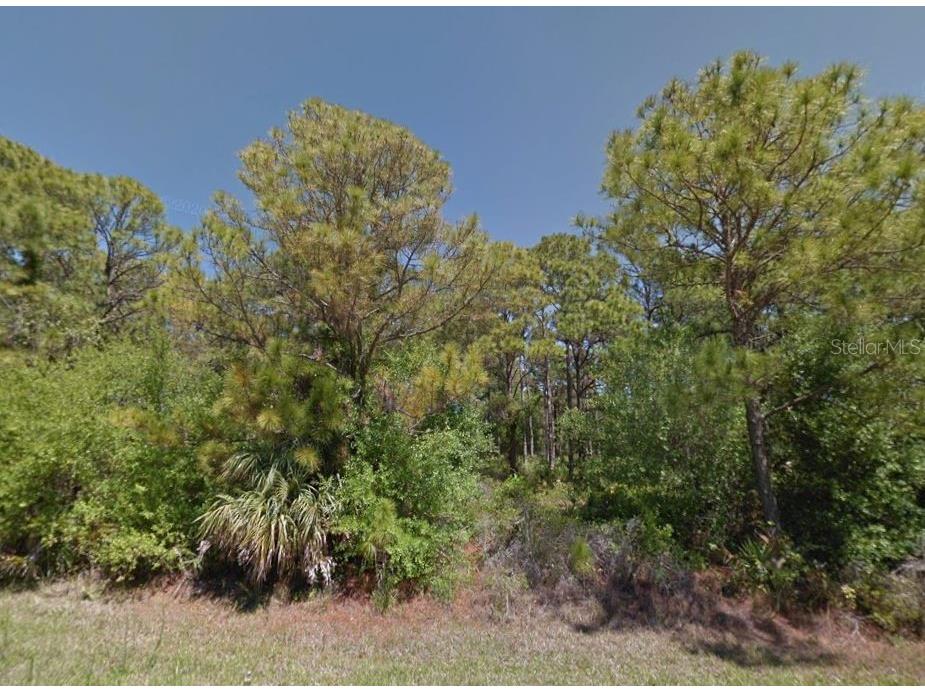 13184 Ketridge Avenue Port Charlotte FL 33953 C7517544 image2