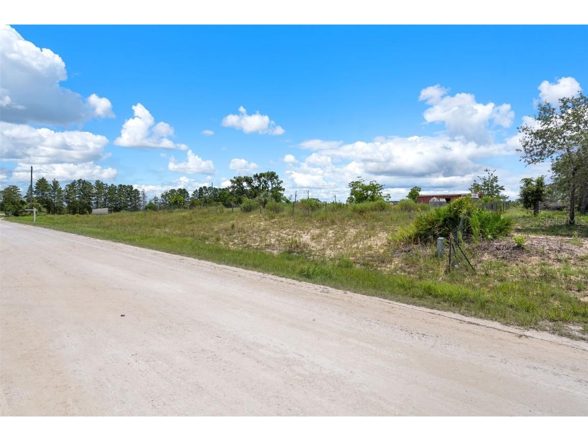 13184 Maycrest Avenue Weeki Wachee FL 34614 TB8418934 image1