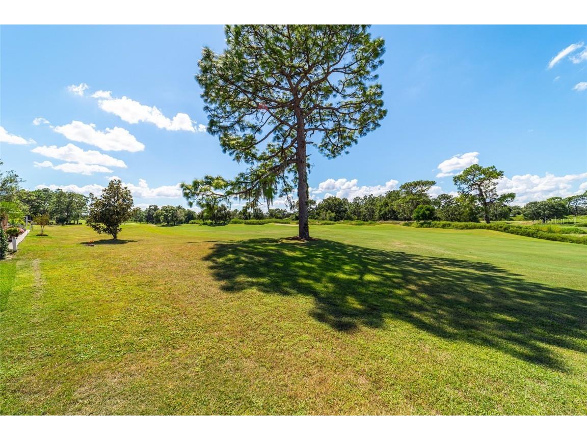 13184 SE 97th Terrace Road Summerfield FL 34491 OM709877 image25