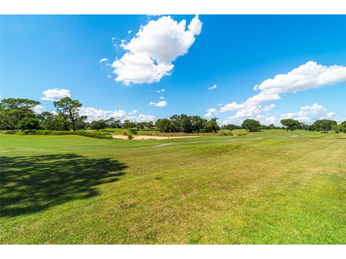 13184 SE 97th Terrace Road Summerfield FL 34491 OM709877 image26