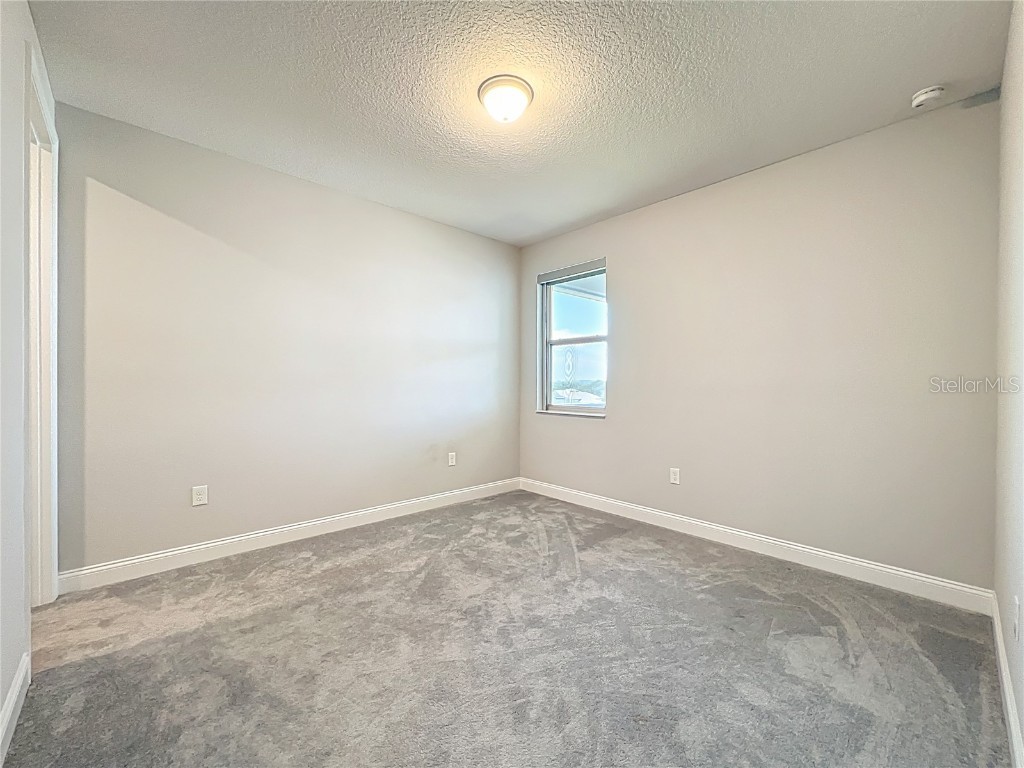 13185 Blossom Valley Drive Clermont FL 34711 O6338624 image42