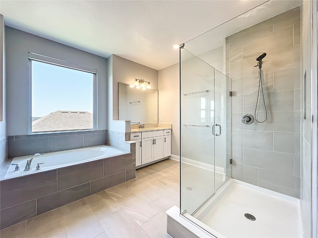 13185 Blossom Valley Drive Clermont FL 34711 O6338624 image49