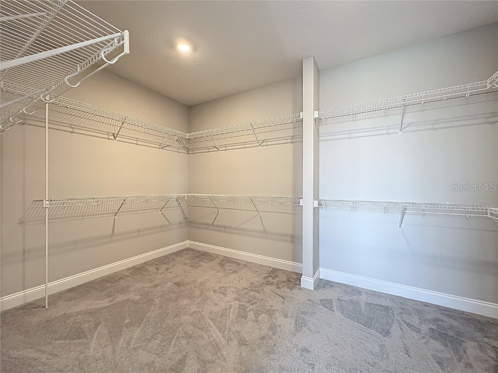 13185 Blossom Valley Drive Clermont FL 34711 O6338624 image50