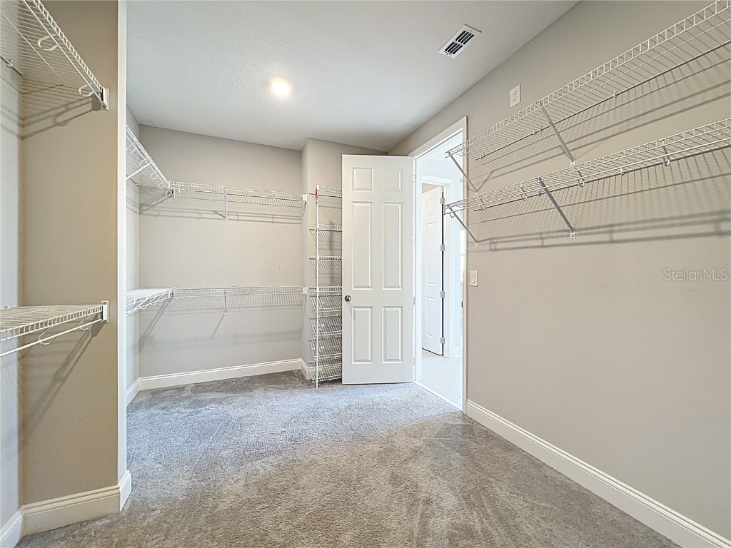 13185 Blossom Valley Drive Clermont FL 34711 O6338624 image51