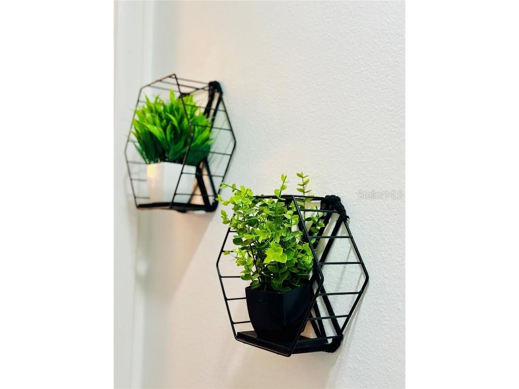 13186 Thrush Street Spring Hill FL 34609 TB8396384 image37