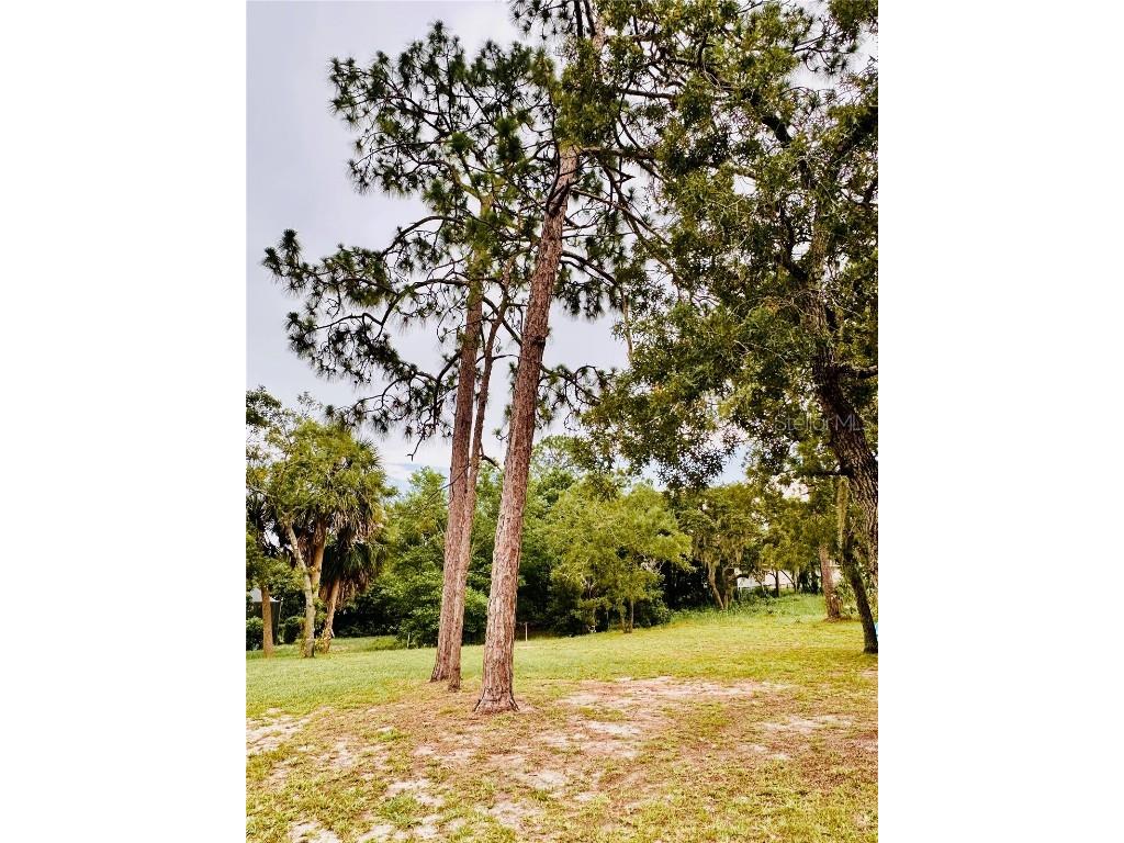 13186 Thrush Street Spring Hill FL 34609 TB8396384 image51