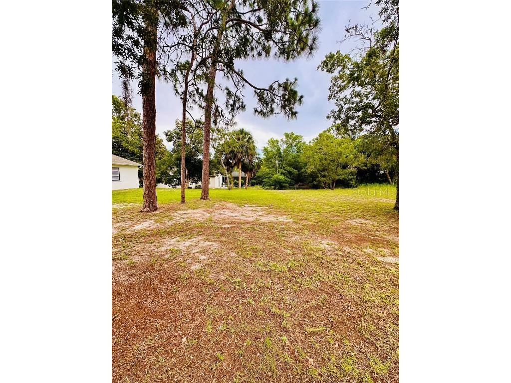 13186 Thrush Street Spring Hill FL 34609 TB8396384 image53