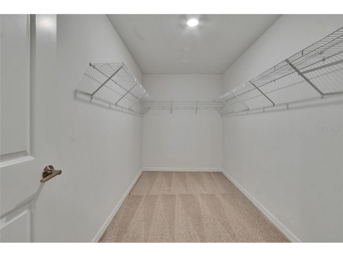 13187 Palmerston Road Riverview FL 33579 TB8394637 image15