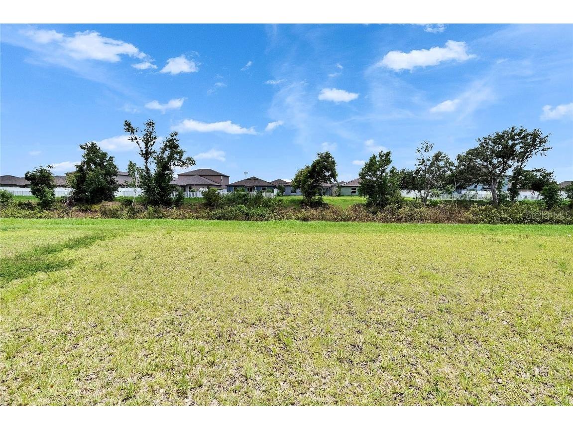 13187 Palmerston Road Riverview FL 33579 TB8394637 image28