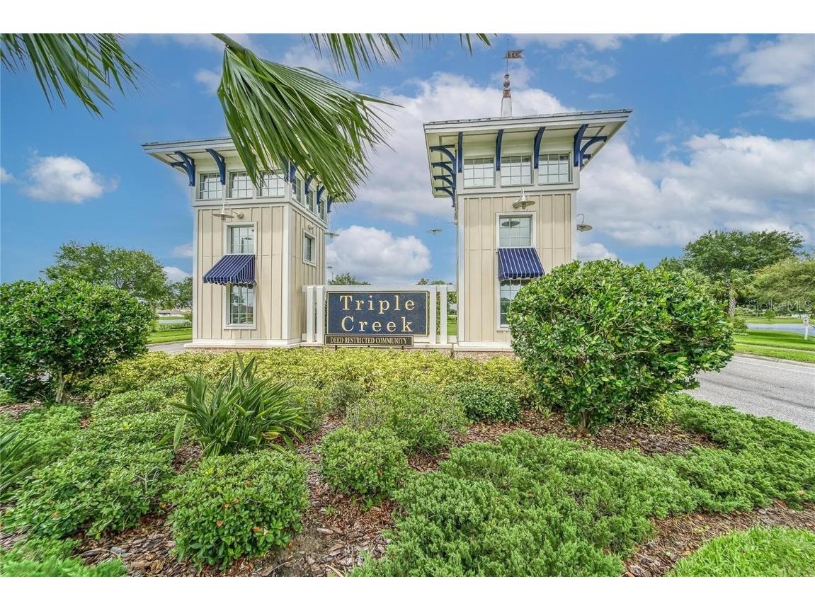 13187 Palmerston Road Riverview FL 33579 TB8394637 image35