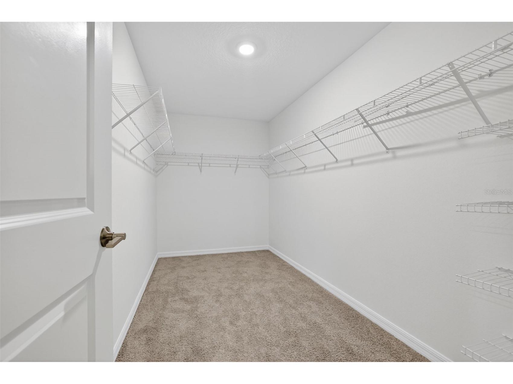 13187 Palmerston Road Riverview FL 33579 TB8511310 image18