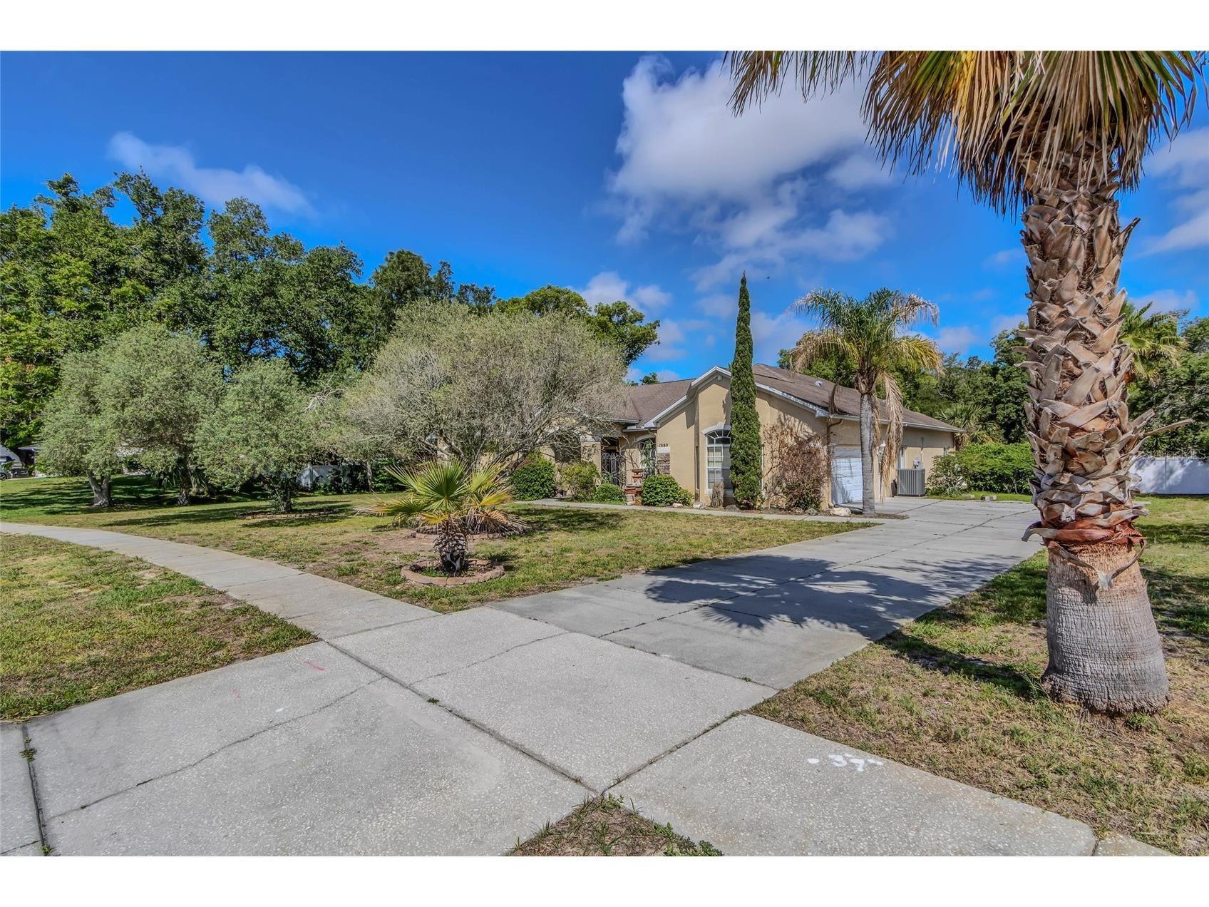 13189 Jessica Drive Spring Hill FL 34609 W7886438 image10