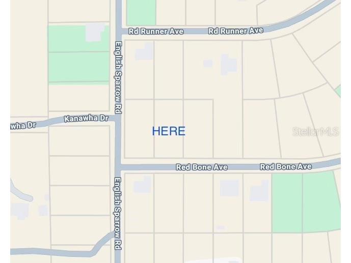 13189 Red Bone Avenue Weeki Wachee FL 34614 TB8473880 image1