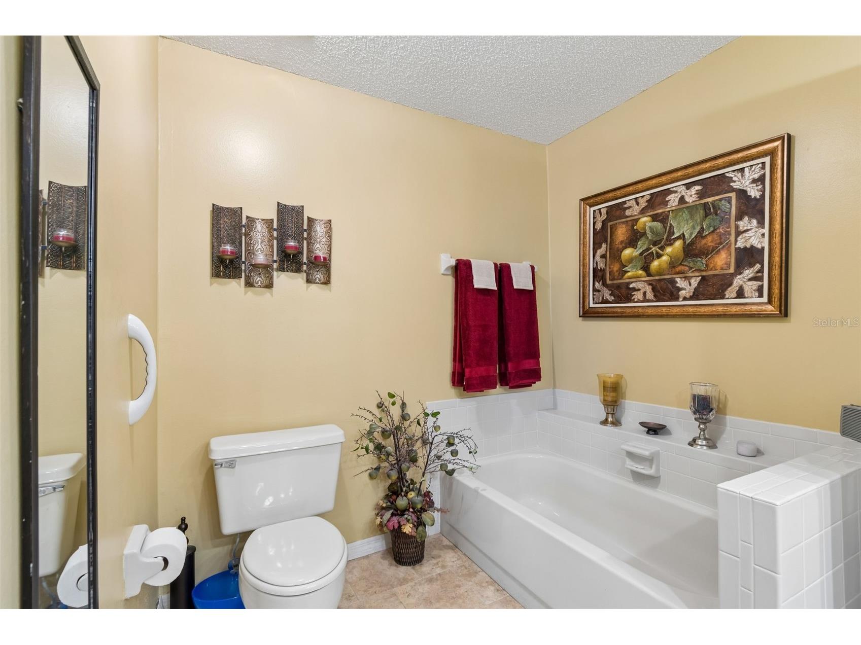 1319 Abbey Crescent Lane Clearwater FL 33759 TB8504296 image33