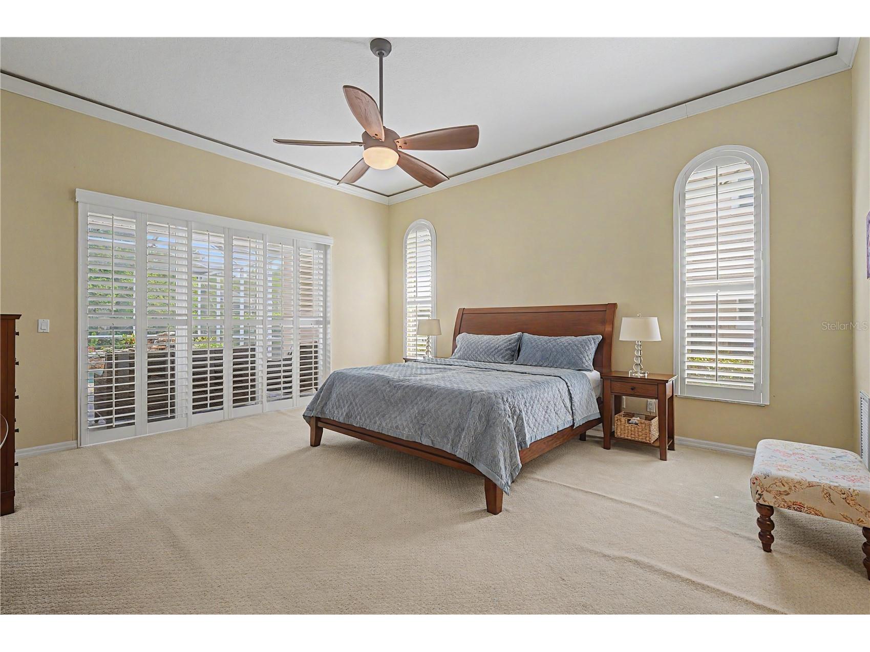 1319 Forestedge Boulevard Oldsmar FL 34677 TB8517867 image23