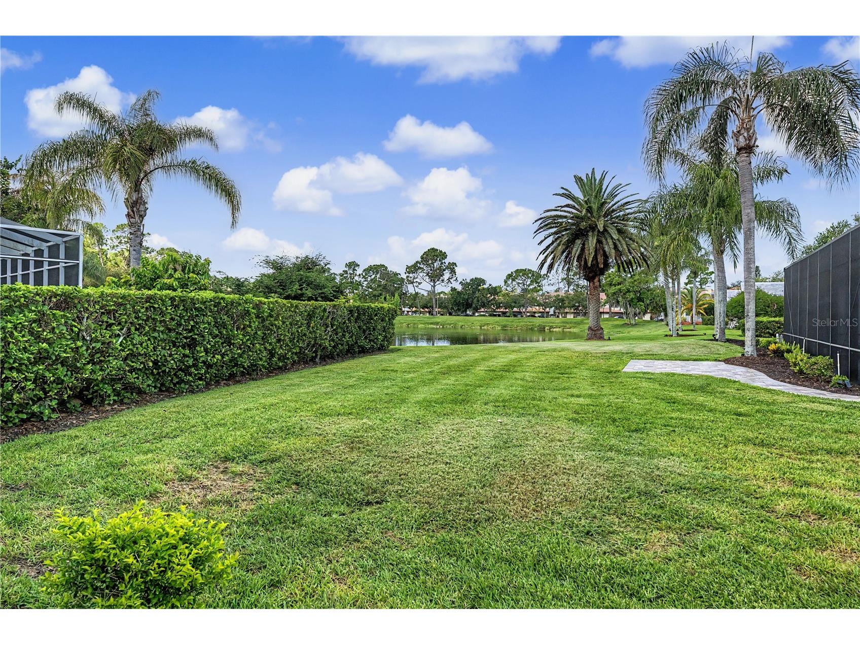 1319 Forestedge Boulevard Oldsmar FL 34677 TB8517867 image47
