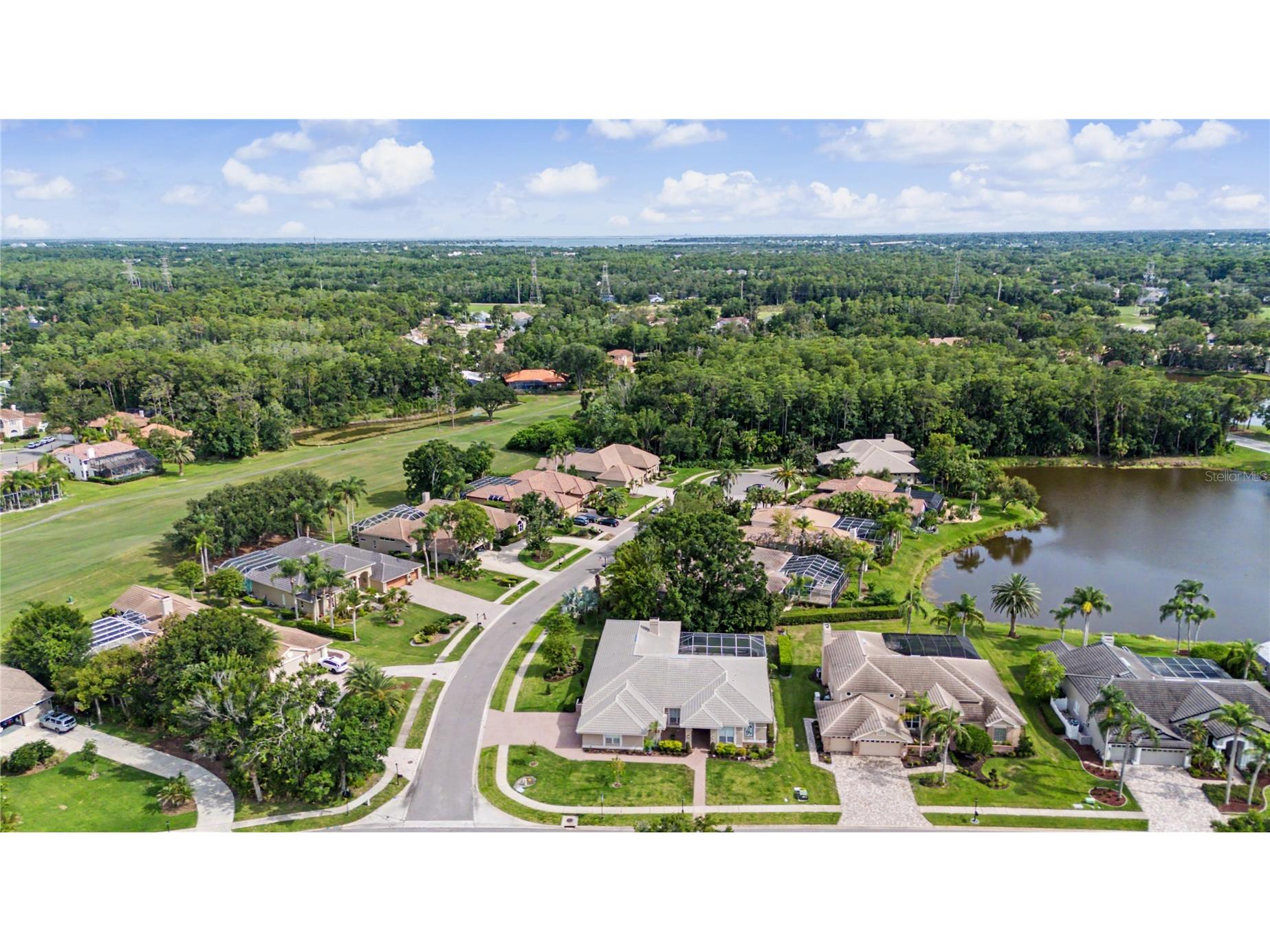 1319 Forestedge Boulevard Oldsmar FL 34677 TB8517867 image57