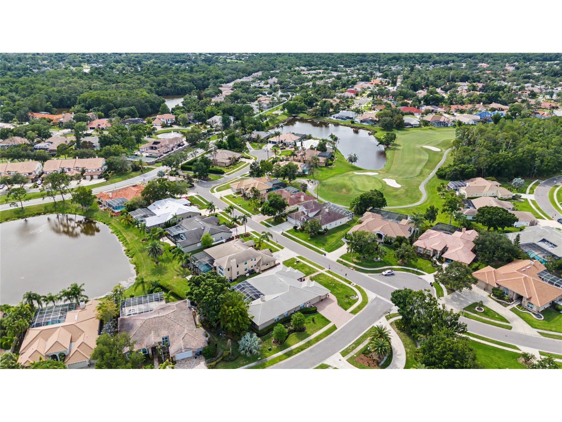 1319 Forestedge Boulevard Oldsmar FL 34677 TB8517867 image60