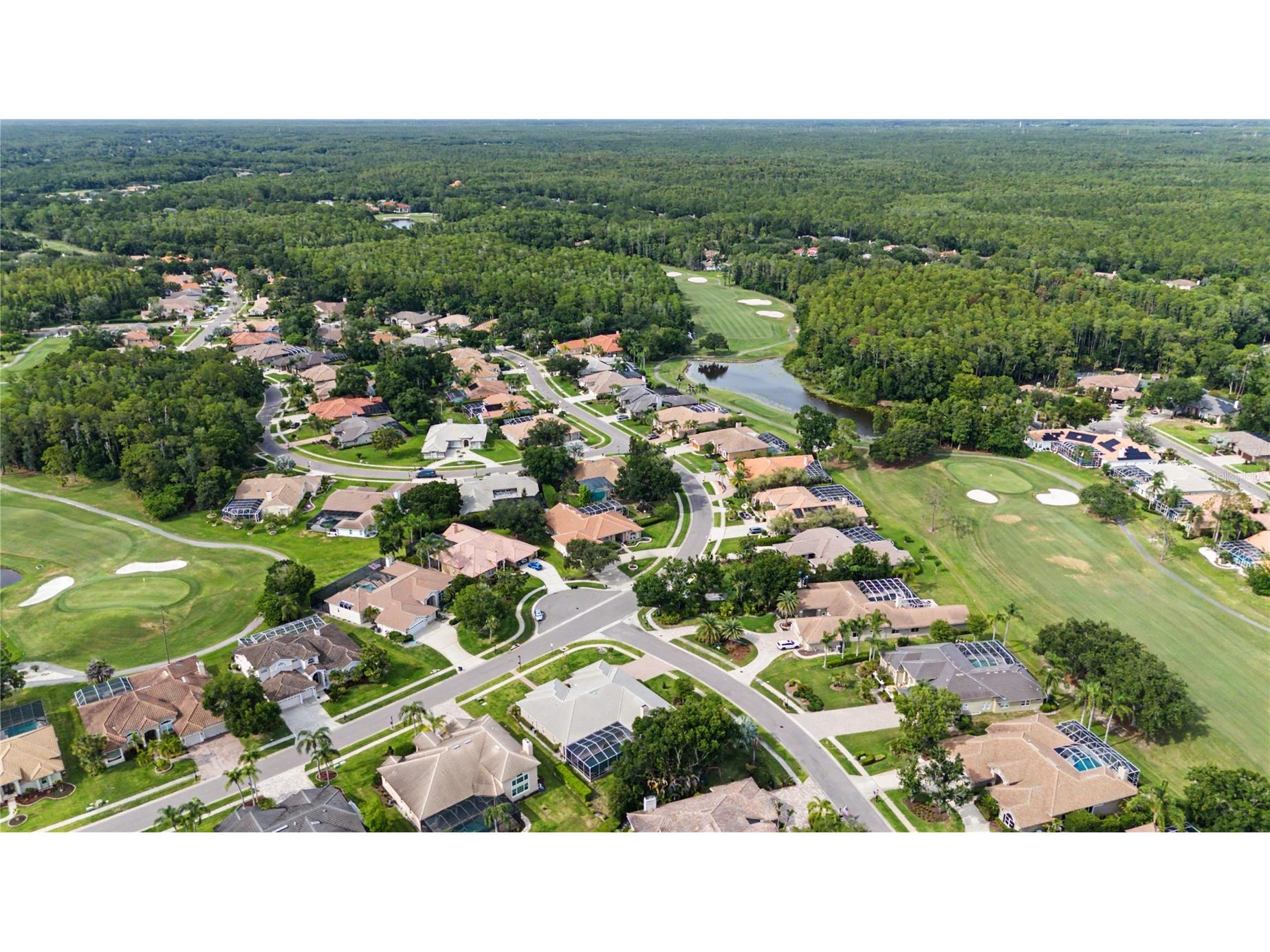 1319 Forestedge Boulevard Oldsmar FL 34677 TB8517867 image61