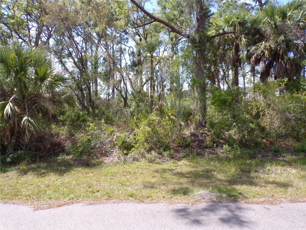 1319 Friar Street Port Charlotte FL 33953 C7489581 image1