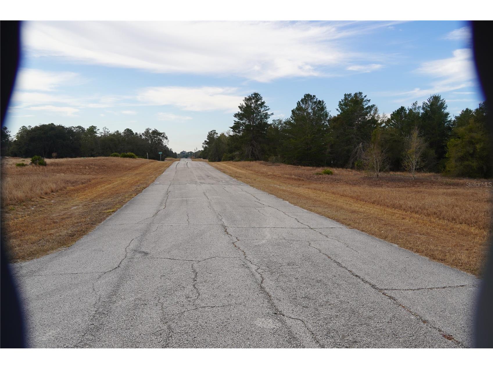 1319 Hillsborough Lane Kissimmee FL 34759 S5143682 image10