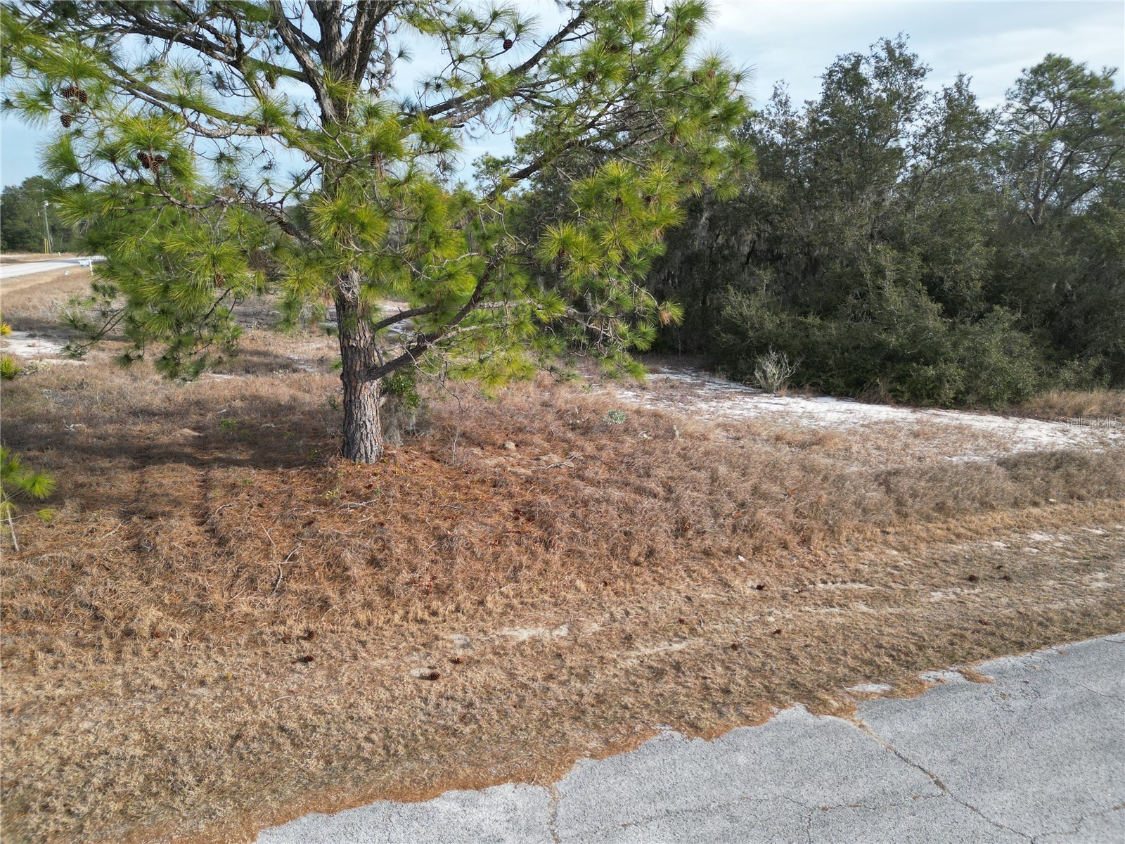 1319 Hillsborough Lane Kissimmee FL 34759 S5143682 image2