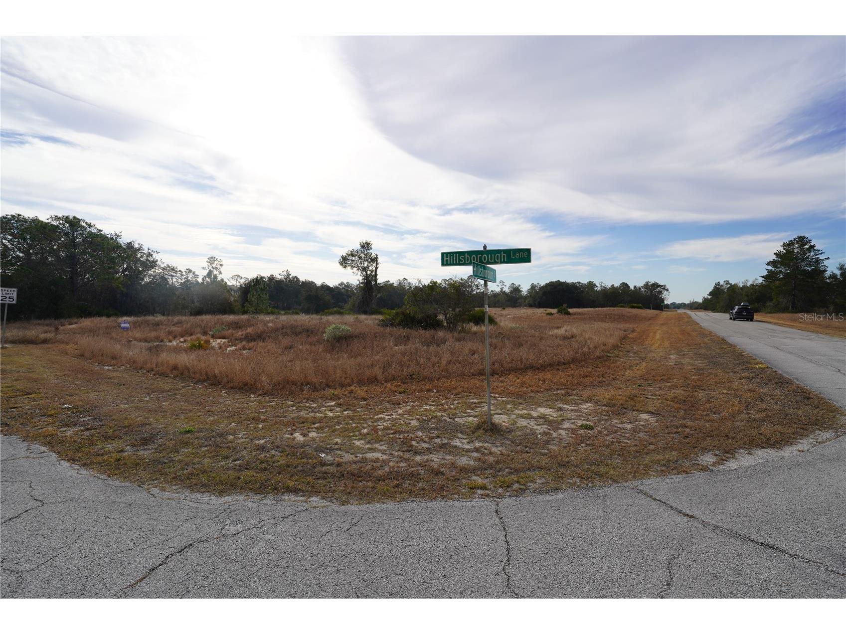 1319 Hillsborough Lane Kissimmee FL 34759 S5143682 image4